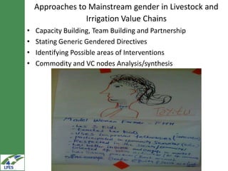 Gender inclusion in the LIVES project: Gender mainstreaming approaches and areas of interventions