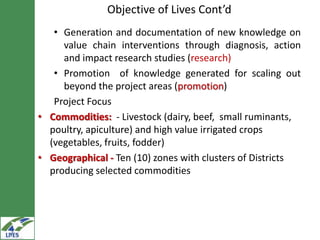 Gender inclusion in the LIVES project: Gender mainstreaming approaches and areas of interventions