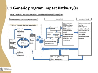 Creating gendered monitoring, evaluation and learning indicators for the Livestock and Fish research program