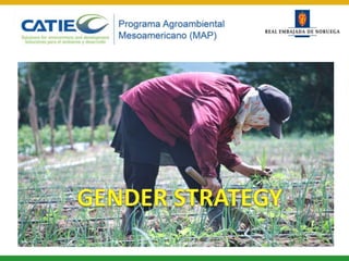 Gender equity and equality in the MAP Norway Project in Nicaragua