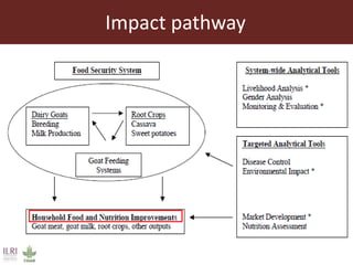 Integrating empowerment in the Dairy Goat and Root Crop Production project in Tanzania
