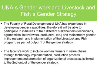 Developing gender capacities from higher education