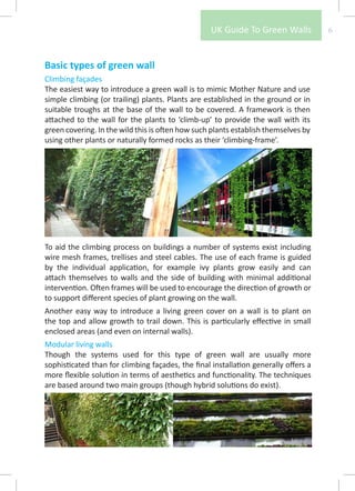UK Guide To Green Walls           6



Basic types of green wall
Climbing façades
The easiest way to introduce a green wall is to mimic Mother Nature and use
simple climbing (or trailing) plants. Plants are established in the ground or in
suitable troughs at the base of the wall to be covered. A framework is then
attached to the wall for the plants to ‘climb-up’ to provide the wall with its
green covering. In the wild this is often how such plants establish themselves by
using other plants or naturally formed rocks as their ‘climbing-frame’.




To aid the climbing process on buildings a number of systems exist including
wire mesh frames, trellises and steel cables. The use of each frame is guided
by the individual application, for example ivy plants grow easily and can
attach themselves to walls and the side of building with minimal additional
intervention. Often frames will be used to encourage the direction of growth or
to support different species of plant growing on the wall.
Another easy way to introduce a living green cover on a wall is to plant on
the top and allow growth to trail down. This is particularly effective in small
enclosed areas (and even on internal walls).
Modular living walls
Though the systems used for this type of green wall are usually more
sophisticated than for climbing façades, the final installation generally offers a
more flexible solution in terms of aesthetics and functionality. The techniques
are based around two main groups (though hybrid solutions do exist).
 