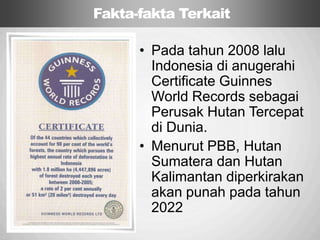 Sp
• Pada tahun 2008 lalu
Indonesia di anugerahi
Certificate Guinnes
World Records sebagai
Perusak Hutan Tercepat
di Dunia.
• Menurut PBB, Hutan
Sumatera dan Hutan
Kalimantan diperkirakan
akan punah pada tahun
2022
Fakta-fakta Terkait
 