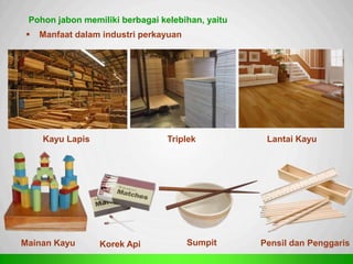 Sp
Pohon jabon memiliki berbagai kelebihan, yaitu
 Manfaat dalam industri perkayuan
Kayu Lapis Triplek Lantai Kayu
Mainan Kayu Korek Api Sumpit Pensil dan Penggaris
 