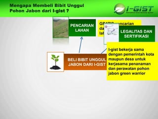 Sp
Mengapa Membeli Bibit Unggul
Pohon Jabon dari I-gist ?
BELI BIBIT UNGGUL
JABON DARI I-GIST
PENCARIAN
LAHAN
GRATIS pencarian
dan penempatan
lahan yang sesuaiLEGALITAS DAN
SERTIFIKASI
I-gist bekerja sama
dengan pemerintah kota
maupun desa untuk
kerjasama penanaman
dan perawatan pohon
jabon green warrior
 