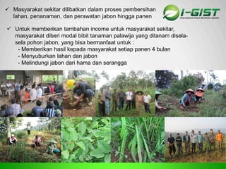 Sp
 Masyarakat sekitar dilibatkan dalam proses pembersihan
lahan, penanaman, dan perawatan jabon hingga panen
 Untuk memberikan tambahan income untuk masyarakat sekitar,
masyarakat diberi modal bibit tanaman palawija yang ditanam disela-
sela pohon jabon, yang bisa bermanfaat untuk :
- Memberikan hasil kepada masyarakat setiap panen 4 bulan
- Menyuburkan lahan dan jabon
- Melindungi jabon dari hama dan serangga
 