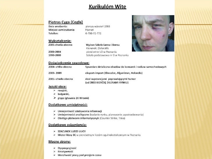 Curriculum vitae ekonomista image