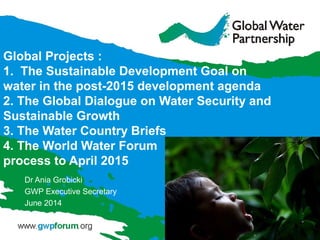 Global Projects :
1. The Sustainable Development Goal on
water in the post-2015 development agenda
2. The Global Dialogue on Water Security and
Sustainable Growth
3. The Water Country Briefs
4. The World Water Forum
process to April 2015
Dr Ania Grobicki
GWP Executive Secretary
June 2014
 