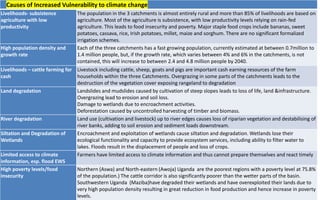 Causes of Increased Vulnerability to climate change
Livelihoods- subsistence
agriculture with low
productivity
The population in the 3 catchments is almost entirely rural and more than 85% of livelihoods are based on
agriculture. Most of the agriculture is subsistence, with low productivity levels relying on rain-fed
agriculture. This leads to food insecurity and poverty. Major staple food crops include bananas, sweet
potatoes, cassava, rice, Irish potatoes, millet, maize and sorghum. There are no significant formalized
irrigation schemes.
High population density and
growth rate
Each of the three catchments has a fast growing population, currently estimated at between 0.7million to
1.4 million people, but, if the growth rate, which varies between 4% and 6% in the catchments, is not
contained, this will increase to between 2.4 and 4.8 million people by 2040.
Livelihoods – cattle farming for
cash
Livestock including cattle, sheep, goats and pigs are important cash earning resources of the farm
households within the three Catchments. Overgrazing in some parts of the catchments leads to the
destruction of the vegetation cover exposing rangeland to degradation
Land degradation Landslides and mudslides caused by cultivation of steep slopes leads to loss of life, land &infrastructure.
Overgrazing lead to erosion and soil loss.
Damage to wetlands due to encroachment activities.
Deforestation caused by uncontrolled harvesting of timber and biomass.
River degradation Land use (cultivation and livestock) up to river edges causes loss of riparian vegetation and destabilising of
river banks, adding to soil erosion and sediment loads downstream.
Siltation and Degradation of
Wetlands
Encroachment and exploitation of wetlands cause siltation and degradation. Wetlands lose their
ecological functionality and capacity to provide ecosystem services, including ability to filter water to
lakes. Floods result in the displacement of people and loss of crops.
Limited access to climate
information, esp. flood EWS
Farmers have limited access to climate information and thus cannot prepare themselves and react timely
High poverty levels/food
insecurity
Northern (Aswa) and North-eastern (Awoja) Uganda are the poorest regions with a poverty level at 75.8%
of the population.) The cattle corridor is also significantly poorer than the wetter parts of the basin.
Southwestern Uganda (Maziba)have degraded their wetlands and have overexploited their lands due to
very high population density resulting in great reduction in food production and hence increase in poverty
levels.
 