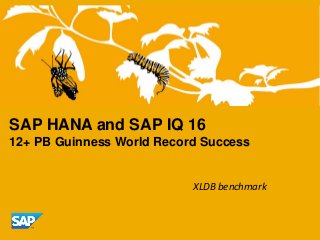 SAP HANA and SAP IQ 16
12+ PB Guinness World Record Success

XLDB benchmark

 