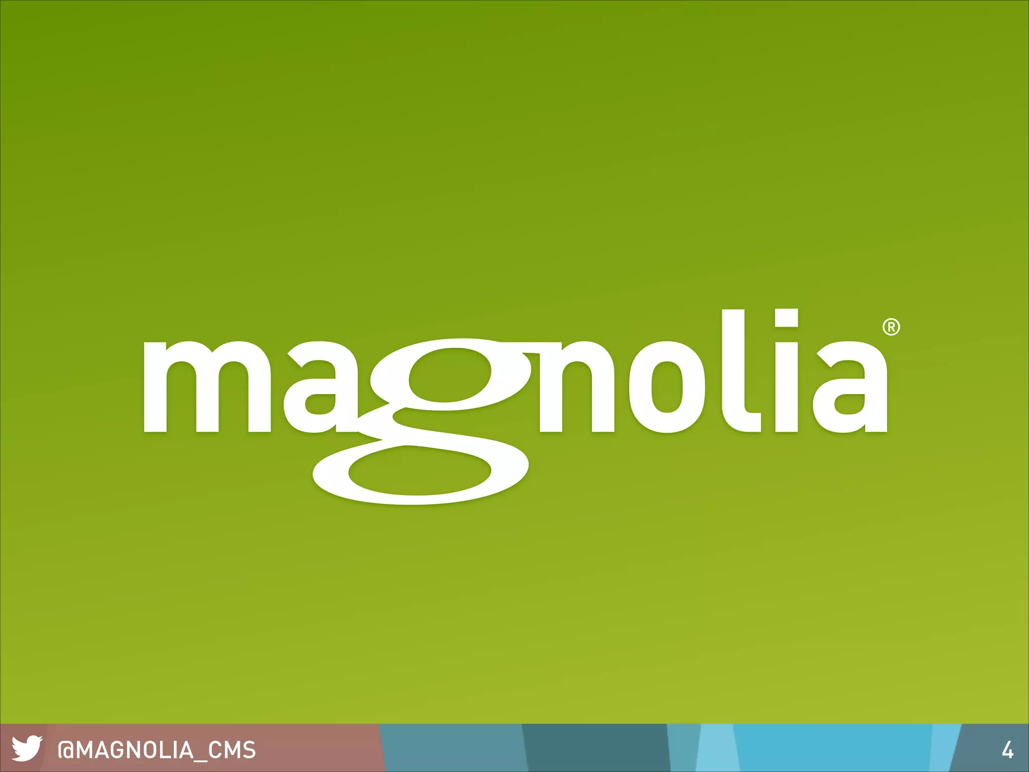 ®

@MAGNOLIA_CMS

4

 
