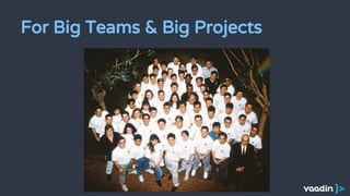 For Big Teams & Big Projects
 