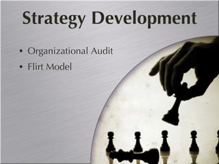 Strategy Development Organizational Audit Flirt Model 