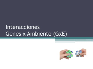 Interacciones
Genes x Ambiente (GxE)
 