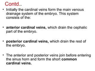 Contd..
• Initially the cardinal veins form the main venous
drainage system of the embryo. This system
consists of the:
• anterior cardinal veins, which drain the cephalic
part of the embryo.
• posterior cardinal veins, which drain the rest of
the embryo.
• The anterior and posterior veins join before entering
the sinus horn and form the short common
cardinal veins.
 