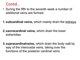 Contd..
• During the fifth to the seventh week a number of
additional veins are formed:
1.subcardinal veins, which mainly drain the kidneys
2.sacrocardinal veins, which drain the lower
extremities
3.supracardinalveins, which drain the body wall by
way of the intercostal veins, taking over the
functions of the posterior cardinal veins
 