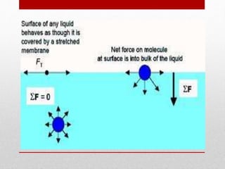 properties fluid mechanics