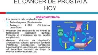 EL CÁNCER DE PRÓSTATA
HOY
HORMONOTERAPIA
 Los fármacos más empleados son:
 Antiandrógenos (Bicalutamida)
 Análogos LHRH (Triptolerina,
Leuprolide)
 Producen una anulación de los niveles de
testosterona (castración química)
frenando el crecimiento de las células
neoplásicas.
 Generan síntomas de deprivación
androgénica: sofocos, ganancia ponderal,
impotencia, osteoporosis, sarcopenia,
hipogonadismo, ginecomastia, mastodinia,
sd metabólico, aumento de riesgo de
eventos cardiovasculares, etc
 