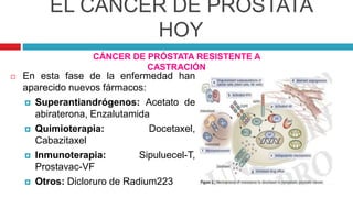EL CÁNCER DE PRÓSTATA
HOY
CÁNCER DE PRÓSTATA RESISTENTE A
CASTRACIÓN
 En esta fase de la enfermedad han
aparecido nuevos fármacos:
 Superantiandrógenos: Acetato de
abiraterona, Enzalutamida
 Quimioterapia: Docetaxel,
Cabazitaxel
 Inmunoterapia: Sipuluecel-T,
Prostavac-VF
 Otros: Dicloruro de Radium223
 