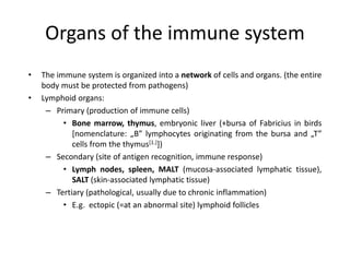 Organs of the immune system
• The immune system is organized into a network of cells and organs. (the entire
body must be protected from pathogens)
• Lymphoid organs:
– Primary (production of immune cells)
• Bone marrow, thymus, embryonic liver (+bursa of Fabricius in birds
[nomenclature: „B” lymphocytes originating from the bursa and „T”
cells from the thymus[1.]])
– Secondary (site of antigen recognition, immune response)
• Lymph nodes, spleen, MALT (mucosa-associated lymphatic tissue),
SALT (skin-associated lymphatic tissue)
– Tertiary (pathological, usually due to chronic inflammation)
• E.g. ectopic (=at an abnormal site) lymphoid follicles
 