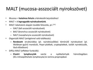 MALT (mucosa-asszociált nyirokszövet)
• Mucosa = hatalmas felszín a kórokozók bejutásához!
• MALT = A legnagyobb nyirokszövetünk.
• MALT: lokalizáció alapján további felosztás, pl.:[14.]
– GALT (bél-asszociált nyirokszövet)
– BALT (bronchus-asszociált nyirokszövet)
– NALT (nasopharynx-asszociált nyirokszövet)
• Organizált MALT (antigénnel való találkozás):
– Rendezett struktúrákba (pl. nyiroktüszőkbe) tömörülő nyirokszövet (pl.
Waldeyer-gyűrű mandulái, Peyer-plakkok, cryptoplakkok, izolált nyiroktüszők,
lásd előadáson)
• Diffúz MALT (effektor funkciók):
– Elszórt lymphocyták szerte a nyálkahártyák hámrétegében
(IEL=intraepithelialis lymphocyta) és lamina propriajában
 
