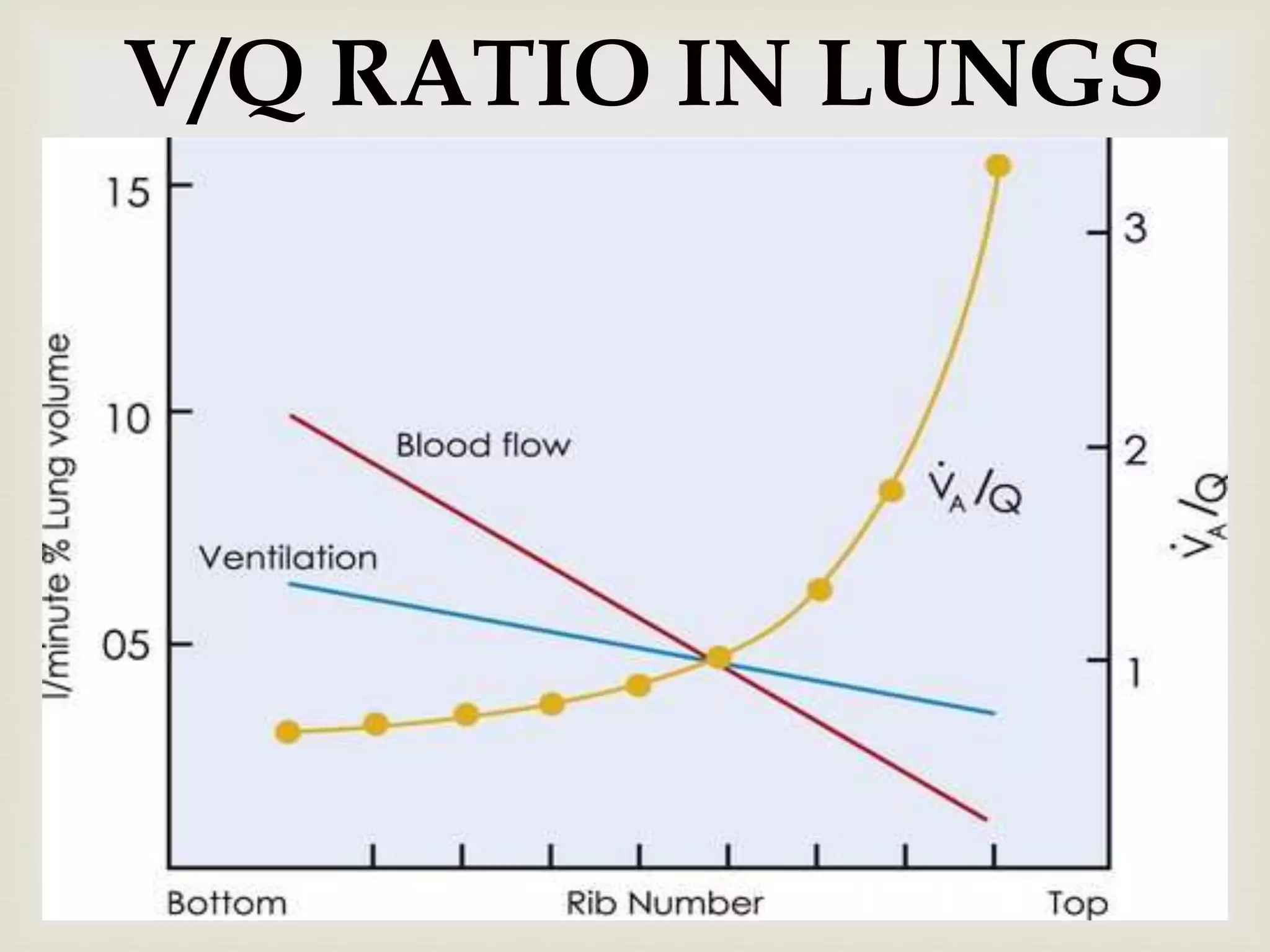 Ventilation and Perfusion in different zones of lungs. | PPTX