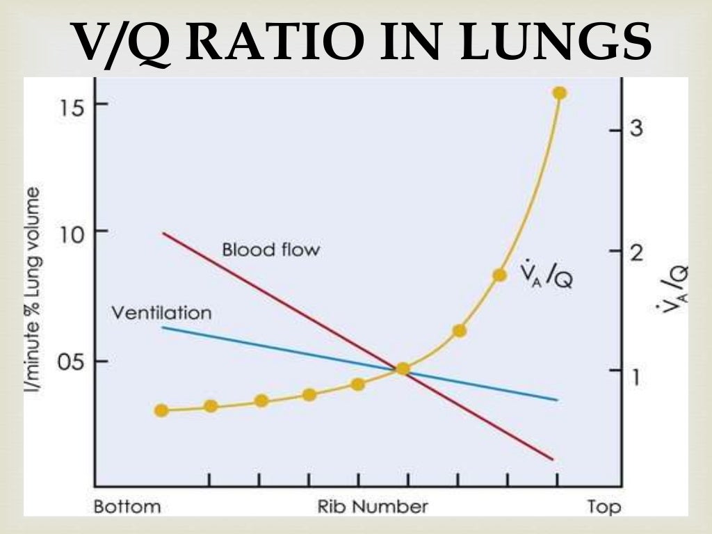 Ventilation and Perfusion in different zones of lungs.