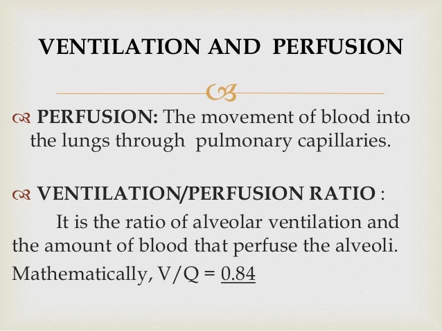 Ventilation Perfusion Relationships