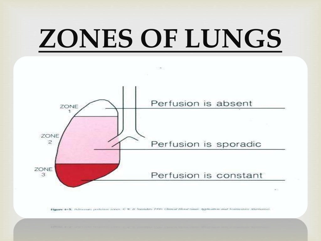 Ventilation and Perfusion in different zones of lungs.