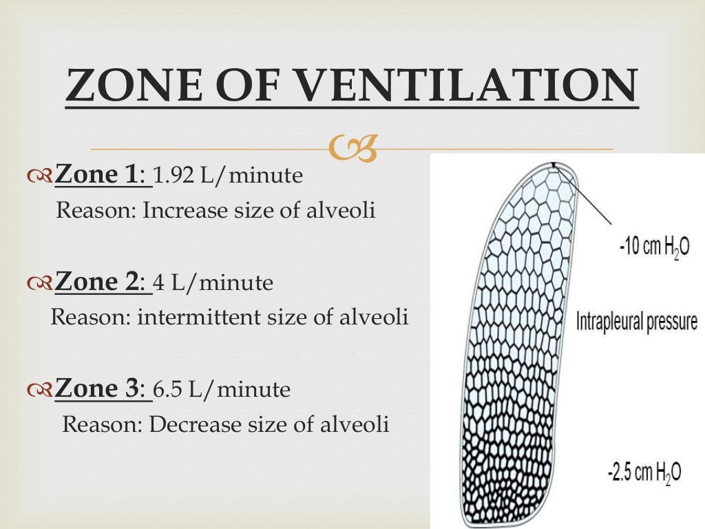Ventilation and Perfusion in different zones of lungs.