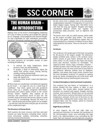 GENERAL AWARENESS – JANUARY 2016 64
SSC CORNER
THE HUMAN BRAIN –
AN INTRODUCTION
Making sense of the brain's mind-boggling complexity
isn't easy. It makes us human, gives people the capacity
for art, language, moral judgment and rational thought.
It's also responsible for each individual's personality,
memories, movements, and how we sense the world.
The brain performs an incredible number of tasks
including the following:
1. It controls the body temperature, blood
pressure, heart rate and breathing.
2. It accepts a flood of information about the
world from various senses (seeing, hearing,
smelling, tasting and touching).
3. It handles your physical movements when you
walk, talk, stand or sit.
4. It lets you think, dream, reason and experience
emotions.
All these tasks are coordinated, controlled and regulated
by the brain --- an organ the size of a small head of
cauliflower. Your brain, spinal cord and peripheral
nerves make up a complex, integrated information-
processing and control system known as the central
nervous system. Together, they regulate all the
conscious and unconscious facets of your life. The
scientific study of the brain and nervous system is called
neuroscience or neurobiology. Because the field is so
vast -- and the brain and nervous system are so complex
-- we will start with the basics and give you an overview
of this complicated organ.
The Structure of Human Brain
We'll examine the brain structure and how each part
controls our daily functions, including motor control,
visual processing, auditory processing, sensation,
learning, memory and emotions.
All this comes from a jellylike mass of fat and protein
weighing about 3 pounds (1.4 kilograms). It is one of the
body's biggest organs, having some 100 billion nerve
cells that not only put together thoughts and highly
coordinated physical actions but regulate our
unconscious body processes, such as digestion and
breathing.
The brain's nerve cells are called neurons, which make
up the organ's so-called "gray matter." The neurons
transmit and gather electrochemical signals that are
communicated via a network of millions of nerve fibers
called dendrites and axons. These are the brain's "white
matter."
Cerebrum
The cerebrum is the largest part of the brain, accounting
for 85 percent of the organ's weight. The distinctive,
deeply wrinkled outer surface is the cerebral cortex,
which consists of gray matter. Beneath this lies the
white matter. It's the cerebrum that makes the human
brain—and therefore humans—so formidable. The
capacity to think, reason, argue, remember, visualize ---
all these faculties come from this part. So when you are
reading this article, the most active part of your brain is
the cerebrum. Whereas animals such as elephants,
dolphins, and whales have larger brains, humans have
the most developed cerebrum. It's packed to capacity
inside our skulls, enveloping the rest of the brain, with
the deep folds cleverly maximizing the cortex area.
Cerebral Hemispheres And Functional Localization
The cerebrum has two halves, or hemispheres. It is
further divided into four regions, or lobes, in each
hemisphere. The frontal lobes, located behind the
forehead, are involved with speech, thought, learning,
emotion, and movement. Behind them are the parietal
lobes, which process sensory information such as touch,
temperature, and pain. At the rear of the brain are the
occipital lobes, dealing with vision. Lastly, there are the
temporal lobes, near the temples, which are involved
with hearing and memory.
Right Brain-Left Brain
In most respects, the left and right sides are
symmetrical in function. For example, the counterpart of
the left-hemisphere motor area controlling the right
hand is the right-hemisphere area controlling the left
hand. There are, however, several important exceptions,
 