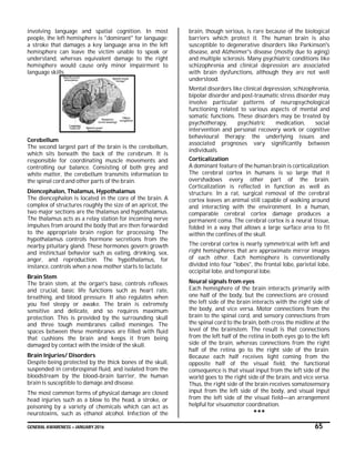 GENERAL AWARENESS – JANUARY 2016 65
involving language and spatial cognition. In most
people, the left hemisphere is "dominant" for language:
a stroke that damages a key language area in the left
hemisphere can leave the victim unable to speak or
understand, whereas equivalent damage to the right
hemisphere would cause only minor impairment to
language skills.
Cerebellum
The second largest part of the brain is the cerebellum,
which sits beneath the back of the cerebrum. It is
responsible for coordinating muscle movements and
controlling our balance. Consisting of both grey and
white matter, the cerebellum transmits information to
the spinal cord and other parts of the brain.
Diencephalon, Thalamus, Hypothalamus
The diencephalon is located in the core of the brain. A
complex of structures roughly the size of an apricot, the
two major sections are the thalamus and hypothalamus.
The thalamus acts as a relay station for incoming nerve
impulses from around the body that are then forwarded
to the appropriate brain region for processing. The
hypothalamus controls hormone secretions from the
nearby pituitary gland. These hormones govern growth
and instinctual behavior such as eating, drinking, sex,
anger, and reproduction. The hypothalamus, for
instance, controls when a new mother starts to lactate.
Brain Stem
The brain stem, at the organ's base, controls reflexes
and crucial, basic life functions such as heart rate,
breathing, and blood pressure. It also regulates when
you feel sleepy or awake. The brain is extremely
sensitive and delicate, and so requires maximum
protection. This is provided by the surrounding skull
and three tough membranes called meninges. The
spaces between these membranes are filled with fluid
that cushions the brain and keeps it from being
damaged by contact with the inside of the skull.
Brain Injuries/ Disorders
Despite being protected by the thick bones of the skull,
suspended in cerebrospinal fluid, and isolated from the
bloodstream by the blood–brain barrier, the human
brain is susceptible to damage and disease.
The most common forms of physical damage are closed
head injuries such as a blow to the head, a stroke, or
poisoning by a variety of chemicals which can act as
neurotoxins, such as ethanol alcohol. Infection of the
brain, though serious, is rare because of the biological
barriers which protect it. The human brain is also
susceptible to degenerative disorders like Parkinson's
disease, and Alzheimer's disease (mostly due to aging)
and multiple sclerosis. Many psychiatric conditions like
schizophrenia and clinical depression are associated
with brain dysfunctions, although they are not well
understood.
Mental disorders like clinical depression, schizophrenia,
bipolar disorder and post-traumatic stress disorder may
involve particular patterns of neuropsychological
functioning related to various aspects of mental and
somatic functions. These disorders may be treated by
psychotherapy, psychiatric medication, social
intervention and personal recovery work or cognitive
behavioural therapy; the underlying issues and
associated prognoses vary significantly between
individuals.
Corticalization
A dominant feature of the human brain is corticalization.
The cerebral cortex in humans is so large that it
overshadows every other part of the brain.
Corticalization is reflected in function as well as
structure. In a rat, surgical removal of the cerebral
cortex leaves an animal still capable of walking around
and interacting with the environment. In a human,
comparable cerebral cortex damage produces a
permanent coma. The cerebral cortex is a neural tissue,
folded in a way that allows a large surface area to fit
within the confines of the skull.
The cerebral cortex is nearly symmetrical with left and
right hemispheres that are approximate mirror images
of each other. Each hemisphere is conventionally
divided into four "lobes", the frontal lobe, parietal lobe,
occipital lobe, and temporal lobe.
Neural signals from eyes
Each hemisphere of the brain interacts primarily with
one half of the body, but the connections are crossed:
the left side of the brain interacts with the right side of
the body, and vice versa. Motor connections from the
brain to the spinal cord, and sensory connections from
the spinal cord to the brain, both cross the midline at the
level of the brainstem. The result is that connections
from the left half of the retina in both eyes go to the left
side of the brain, whereas connections from the right
half of the retina go to the right side of the brain.
Because each half receives light coming from the
opposite half of the visual field, the functional
consequence is that visual input from the left side of the
world goes to the right side of the brain, and vice versa.
Thus, the right side of the brain receives somatosensory
input from the left side of the body, and visual input
from the left side of the visual field—an arrangement
helpful for visuomotor coordination.
***
 