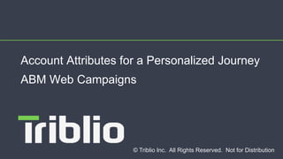 © Triblio Inc. All Rights Reserved. Not for Distribution
Account Attributes for a Personalized Journey
ABM Web Campaigns
 