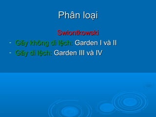 Phân loạiPhân loại
SwiontkowskiSwiontkowski
- Gãy không di lệch:Gãy không di lệch: Garden I và IIGarden I và II
- Gãy di lệch:Gãy di lệch: Garden III và IVGarden III và IV
 