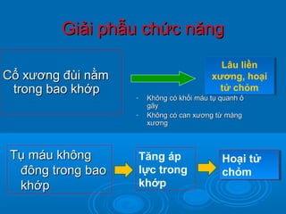Giải phẫu chức năngGiải phẫu chức năng
Cổ xương đùi nằmCổ xương đùi nằm
trong bao khớptrong bao khớp
- Không có khối máu tụ quanh ổKhông có khối máu tụ quanh ổ
gãygãy
- Không có can xương từ màngKhông có can xương từ màng
xươngxương
Lâu liền
xương, hoại
tử chỏm
Lâu liền
xương, hoại
tử chỏm
Tụ máu khôngTụ máu không
đông trong baođông trong bao
khớpkhớp
Tăng áp
lực trong
khớp
Hoại tử
chỏm
Hoại tử
chỏm
 