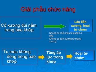 Giải phẫu chức năng Tụ máu không   đông trong bao khớp Cổ xương đùi nằm trong bao khớp Không có khối máu tụ quanh ổ gãy Không có can xương từ màng xương Lâu  liền x ương , hoại tử chỏm Tăng áp lực trong khớp Hoại tử chỏm 