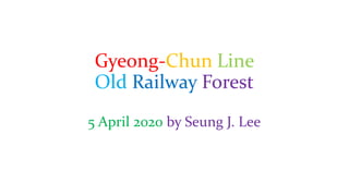 Gyeong-Chun Line
Old Railway Forest
5 April 2020 by Seung J. Lee
 