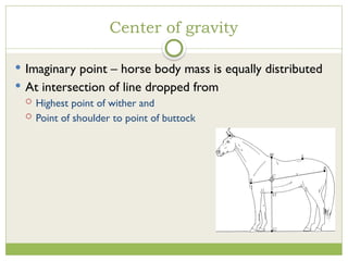 Equally Distributed Conformation of horses and their defect.pptx