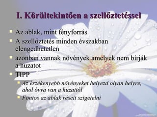 Így ölöd meg növényeidet anélkül, hogy tudnád