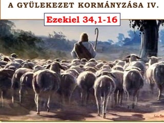 A GYÜLEKEZET KORMÁNYZÁSA IV.
Ezekiel 34,1-16
 