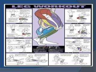 Leg triceps hotsell