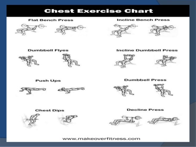 Shoulder Chart Workout