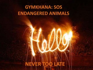 GYMKHANA: SOS
ENDANGERED ANIMALS




  NEVER TOO LATE
 