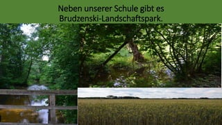 Neben unserer Schule gibt es
Brudzenski-Landschaftspark.
 