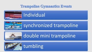 Individual
synchronized trampoline
double mini trampoline
tumbling
 