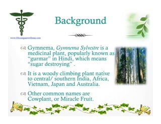 ! Gymnema, Gymnema Sylvestre is a
medicinal plant, popularly known as
“gurmar” in Hindi, which means
“sugar destroying” .
! It is a woody climbing plant native
to central/ southern India, Africa,
Vietnam, Japan and Australia.
! Other common names are
Cowplant, or Miracle Fruit.
 