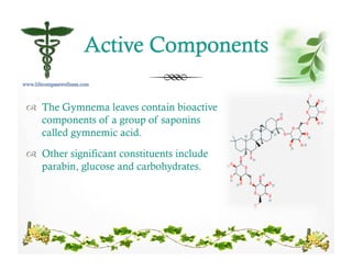 !  The Gymnema leaves contain bioactive
components of a group of saponins
called gymnemic acid.
!  Other significant constituents include
parabin, glucose and carbohydrates.
 