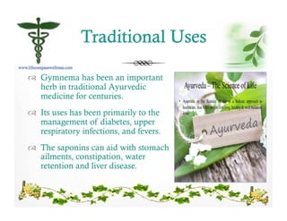 !  Gymnema has been an important
herb in traditional Ayurvedic
medicine for centuries.
!  Its uses has been primarily to the
management of diabetes, upper
respiratory infections, and fevers.
!  The saponins can aid with stomach
ailments, constipation, water
retention and liver disease.
 