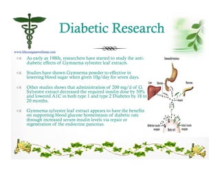 !  As early as 1980s, researchers have started to study the anti-
diabetic effects of Gymnema sylvestre leaf extracts.
!  Studies have shown Gymnema powder to effective in
lowering blood sugar when given 10g/day for seven days.
!  Other studies shows that administration of 200 mg/d of G.
Sylvestre extract decreased the required insulin dose by 50%
and lowered A1C in both type 1 and type 2 Diabetes by 18 to
20 months.
!  Gymnema sylvestre leaf extract appears to have the benefits
on supporting blood glucose homeostasis of diabetic rats
through increased serum insulin levels via repair or
regeneration of the endocrine pancreas.
 